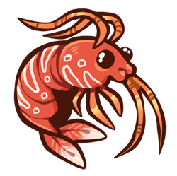 Skrimp Skrimp