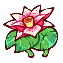 Lotus Blossom Lotus Blossom