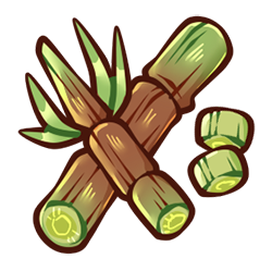Sugar Cane Sugar Cane