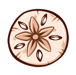 Sand Dollar Sand Dollar