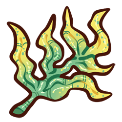 Kelp Kelp