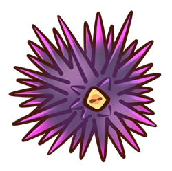 Urchin Urchin