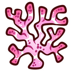 Branch Coral Branch Coral