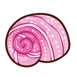 Spiral Shell Spiral Shell